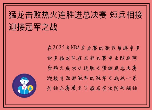 猛龙击败热火连胜进总决赛 短兵相接迎接冠军之战