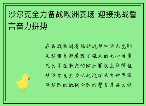 沙尔克全力备战欧洲赛场 迎接挑战誓言奋力拼搏